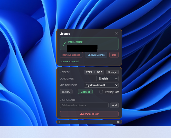 Activated license panel with management actions